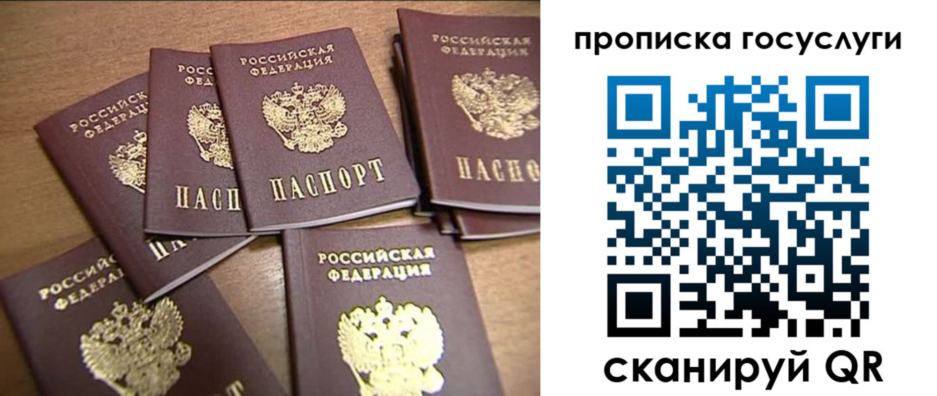 прописка ребенка в Камчатской области